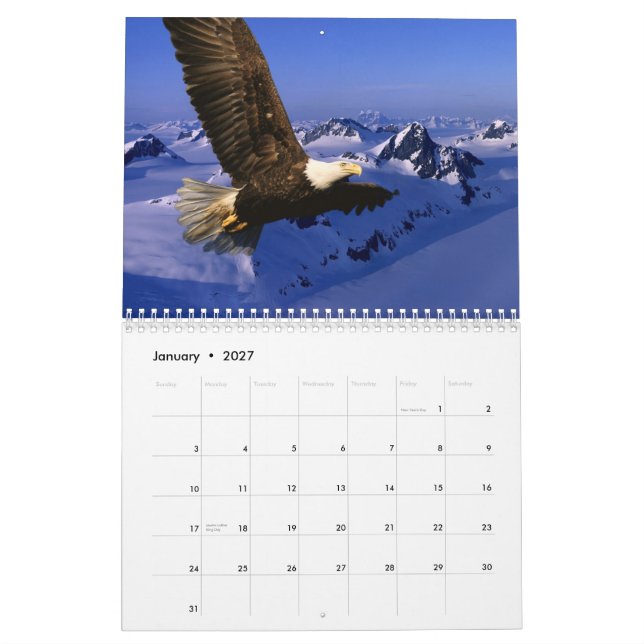 Calendrier Eagles chauve (Jan 2027)