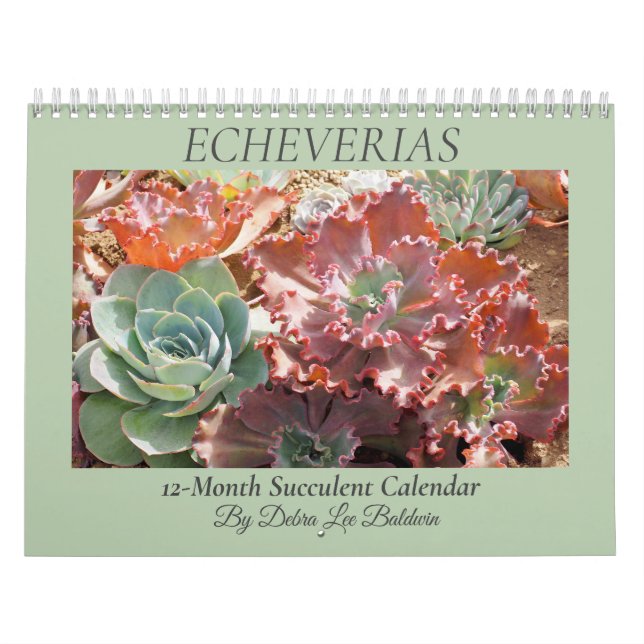 Calendrier Echeverias Succulent 12 mois (Protection)