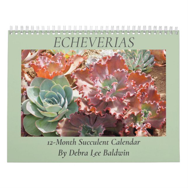 Calendrier Echeverias : Succulents par Debra Lee Baldwin (Protection)