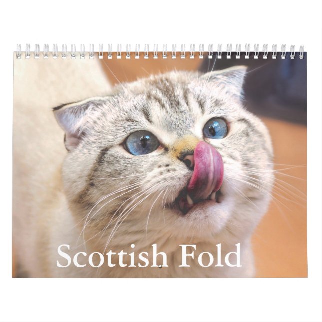 Calendrier écossais des chats pliés (Protection)