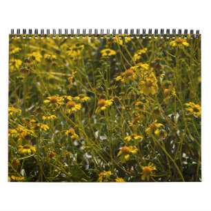 Calendrier Écriture fleur sauvage 2015