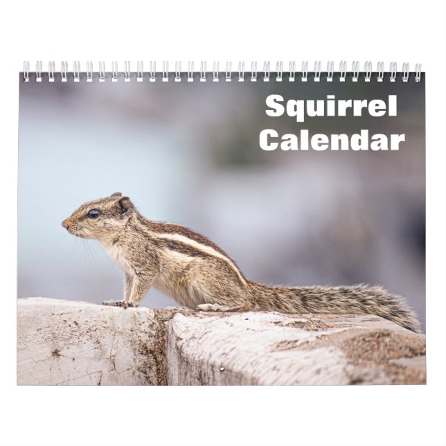 Calendrier Écureuil 2027 (Protection)