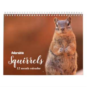 Calendrier Écureuils adorables 2026