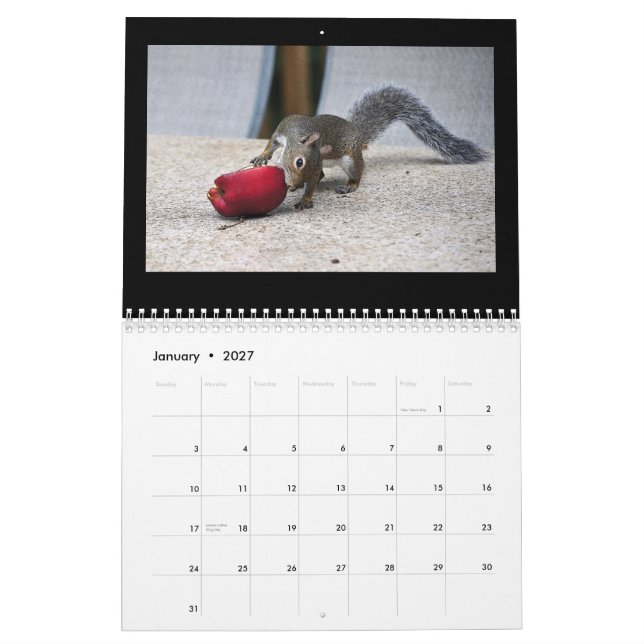 Calendrier Écureuils et leurs trésors (Jan 2027)
