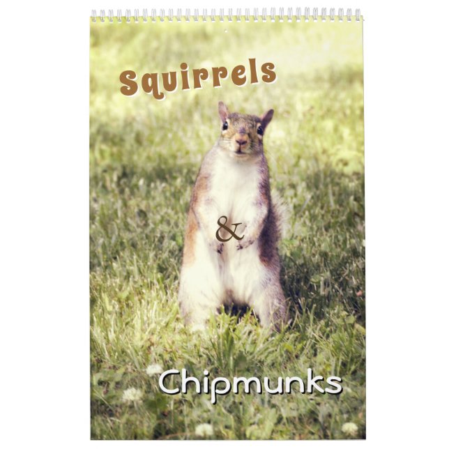 Calendrier Écureuils mignons et Chipmunks Drôle Photos d'anim (Protection)