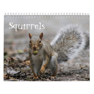 Calendrier Écureuils rouges américains et écureuils de gri