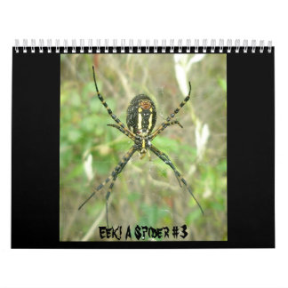 Calendrier - Eek ! Une araignée #3