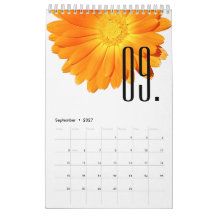 Élégantes Fleurs Colorées Amateur de Fleurs 2027