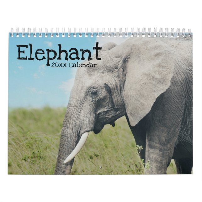 Calendrier Eléphant (Protection)