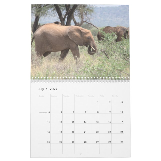 Calendrier éléphant (Jul 2027)