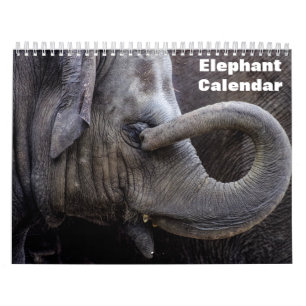 Calendrier Éléphant 2026 