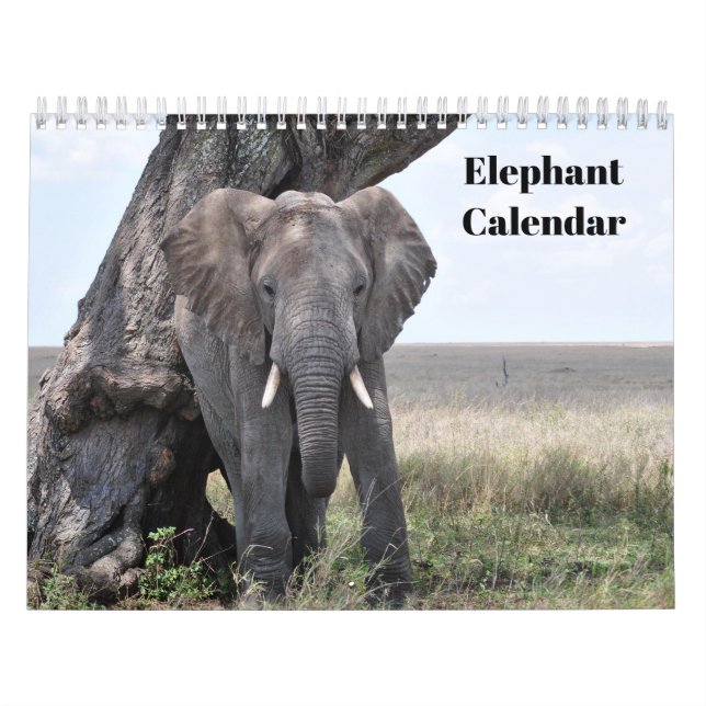 Calendrier Éléphant 2026  (Protection)