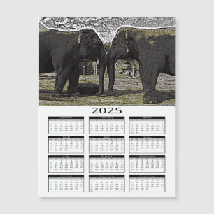 Calendrier Elephant Eyes 2025
