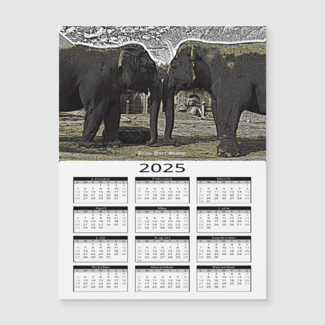 Calendrier Elephant Eyes 2025 (Devant)