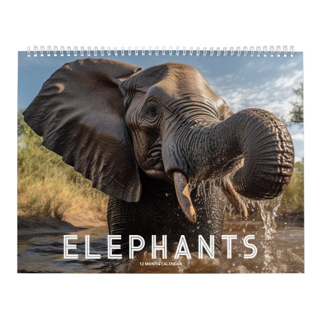Calendrier Éléphants (Protection)