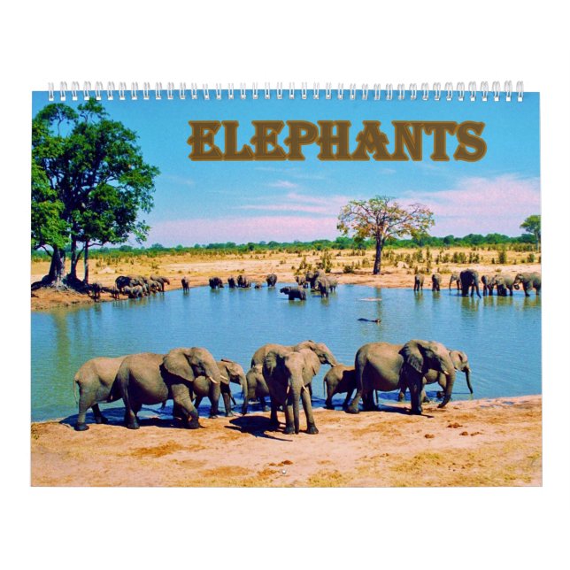 Calendrier éléphants  (Protection)