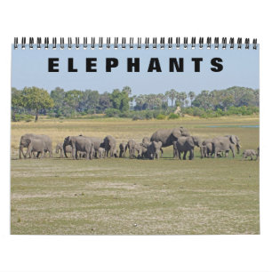CALENDRIER ÉLÉPHANTS