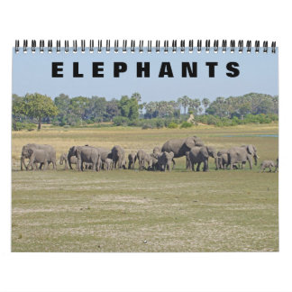 CALENDRIER ÉLÉPHANTS
