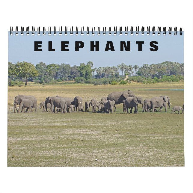 CALENDRIER ÉLÉPHANTS (Protection)