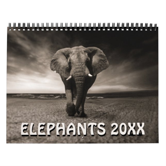 Calendrier Éléphants Sauvages (Protection)