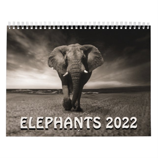 Calendrier Eléphants sauvages 2022 (Protection)
