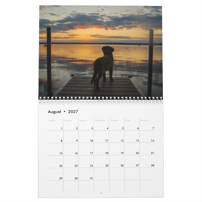 Calendrier Équipe Joey Jax 2016 (Aug 2027)