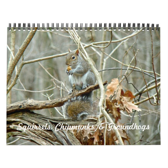 Calendrier - Equipes Chipmunks Groundhogs (Protection)