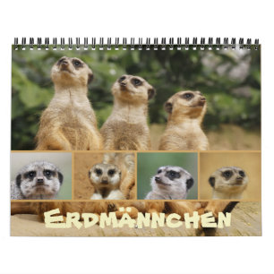 Calendrier Erdmännchen 002