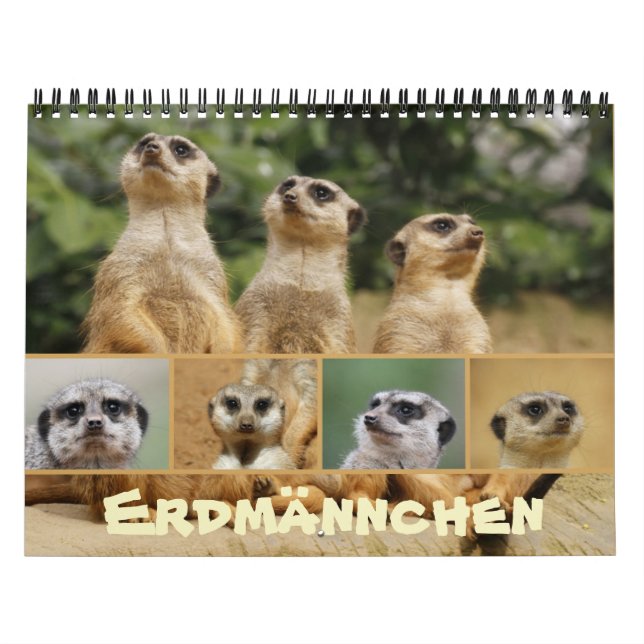 Calendrier Erdmännchen 002 (Protection)
