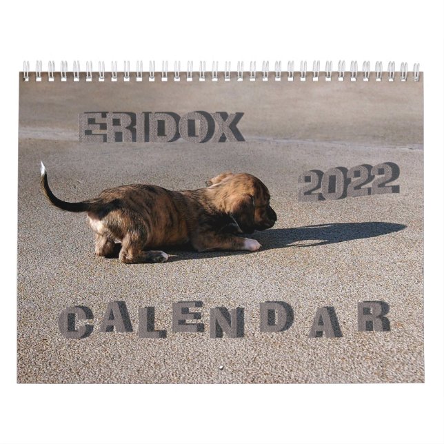 Calendrier Eridox Dachshunds 2022 (Protection)