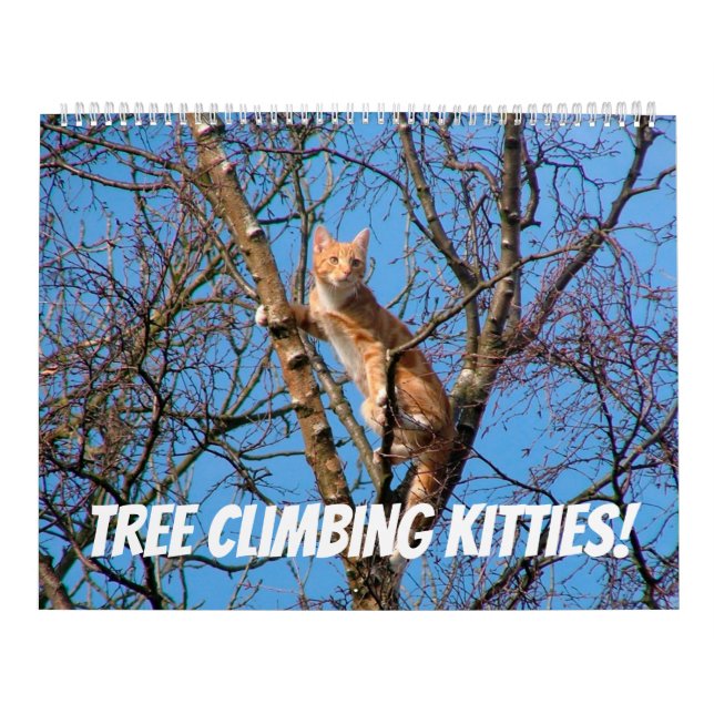 Calendrier Escalade arborescente Kitties Cat & Kittens in Tre (Protection)