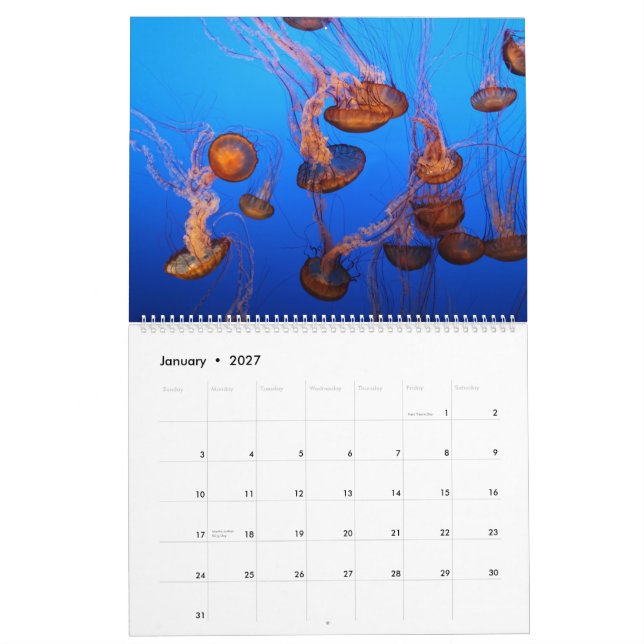 Calendrier Espèce marine (Jan 2027)