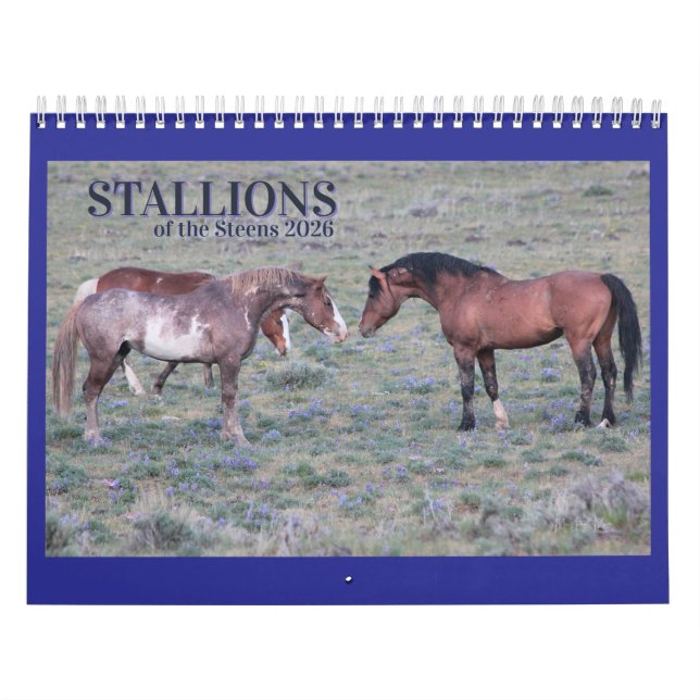 Calendrier "Étalons" Mustang Sauvage 2026 (Protection)