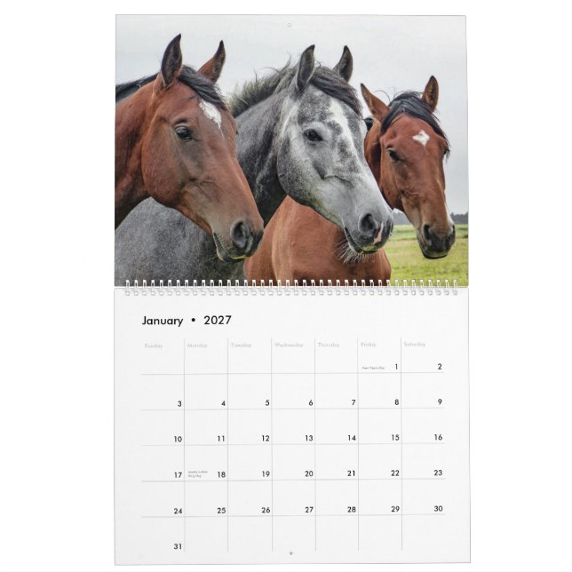 Calendrier Etsy_Calender (cheval) (Jan 2027)