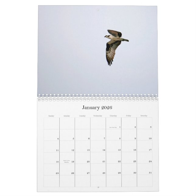 Calendrier Étude du Seahawk (Jan 2026)