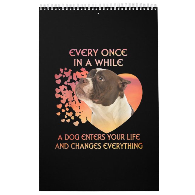 Calendrier Every Once In A While A Dog Enters (Protection)