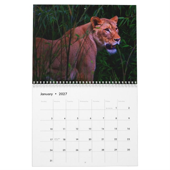 Calendrier exotique d'animaux (Jan 2027)