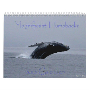 Calendrier extraordinaire de baleine de bosse
