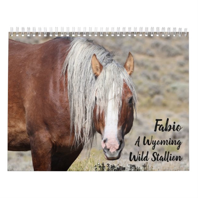 Calendrier Fabio Un étalon sauvage du Wyoming (Protection)