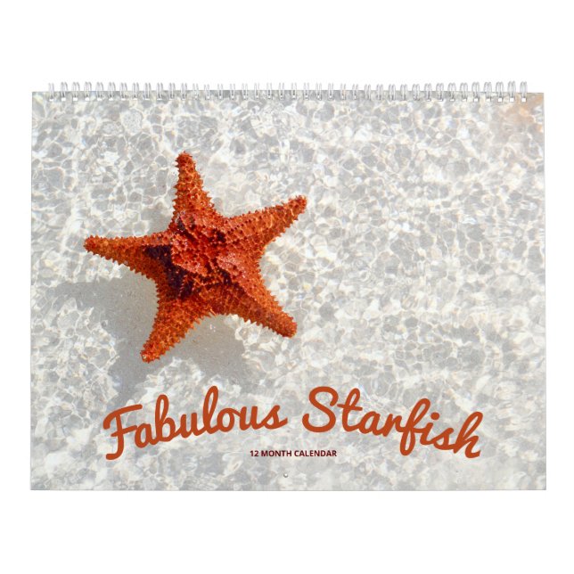 Calendrier Fabuleux Starfish (Protection)