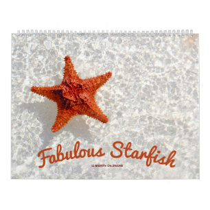 Calendrier Fabuleux Starfish
