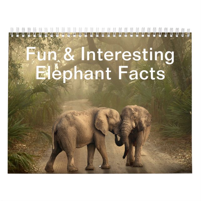 Calendrier Faits amusants et intéressants sur les éléphants (Protection)