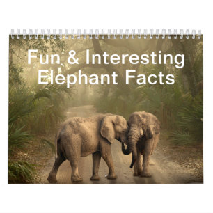Calendrier Faits amusants et intéressants sur les éléphants