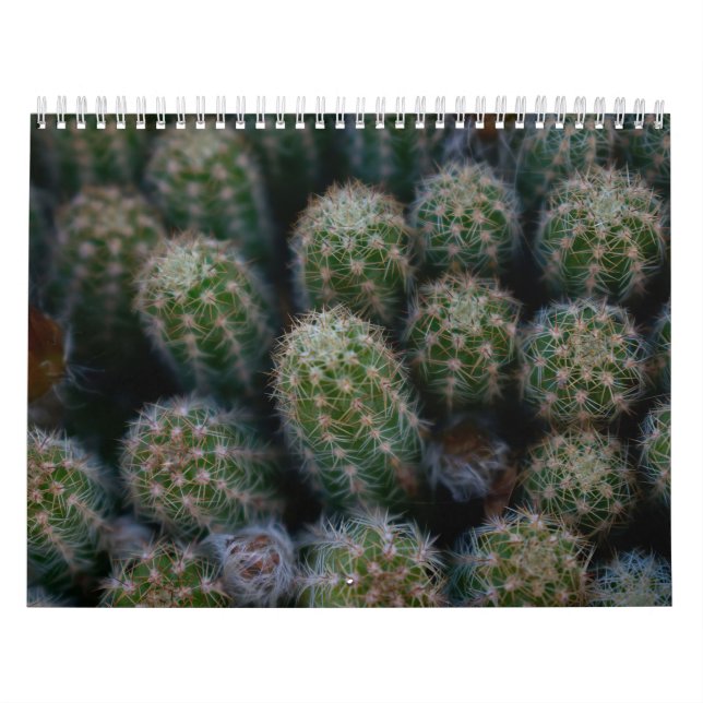 Calendrier Famille Cactus (Protection)
