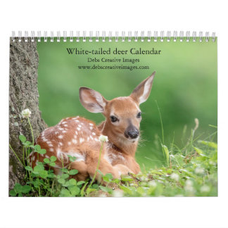 Calendrier Famille de Cerfs à queue blanche 2027 | Faune de l