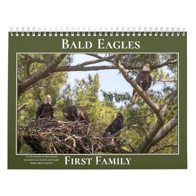 Calendrier Famille Eagles (Protection)