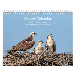 Calendrier Famille Osprey 2026