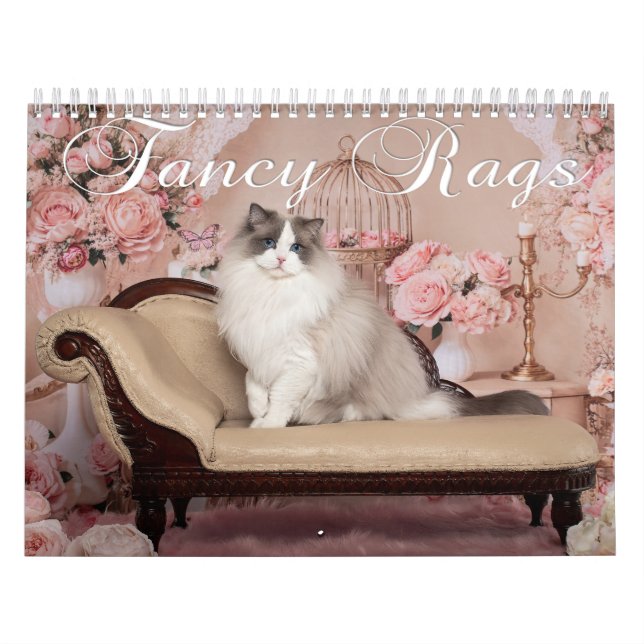 Calendrier Fancy Rags 12 month Calendar (Protection)