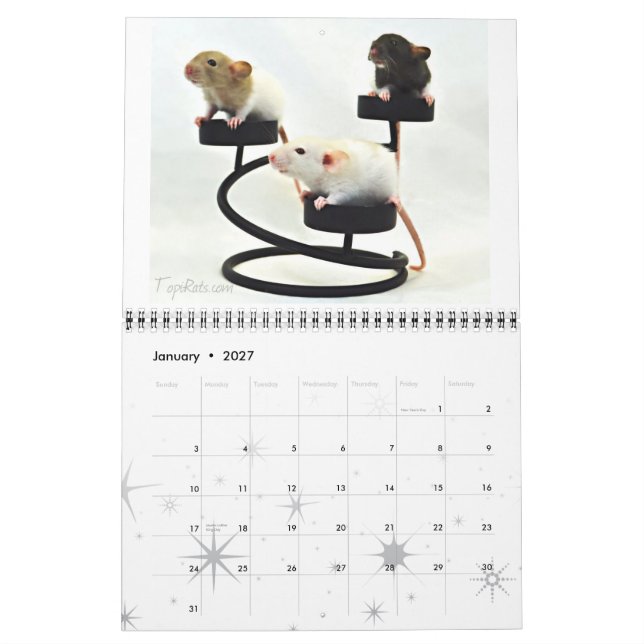 Calendrier Fancy Rats 2013 (Jan 2027)
