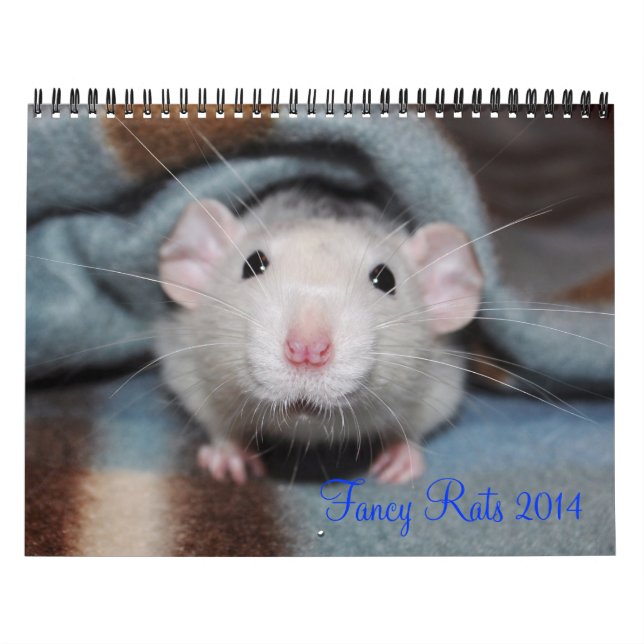 Calendrier Fancy Rats 2014 (Protection)